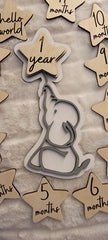 Adorable Elephant Baby Milestone Disc for Photos