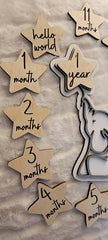 Adorable Elephant Baby Milestone Disc for Photos