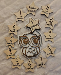 Adorable Owl Baby Milestone Disc for Photos