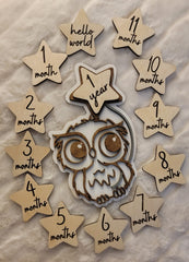 Adorable Owl Baby Milestone Disc for Photos
