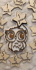 Adorable Owl Baby Milestone Disc for Photos