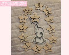 Adorable Elephant Baby Milestone Disc for Photos