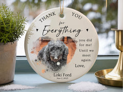 Custom Veterinarian Christmas Ornament Gifts for Vet, Personalized Keepsake Gift, Veterinarian Thank You Message